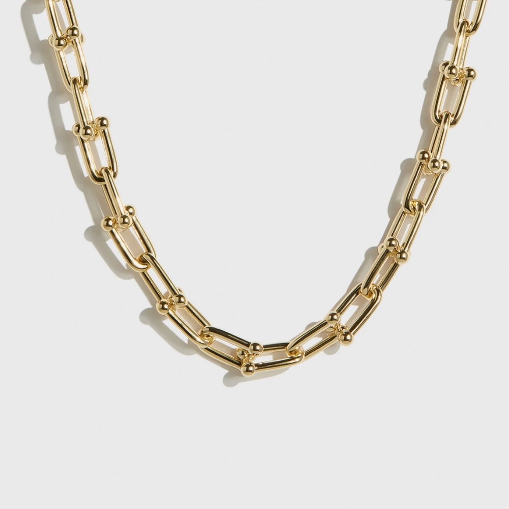 DRAE U link necklace  NWT